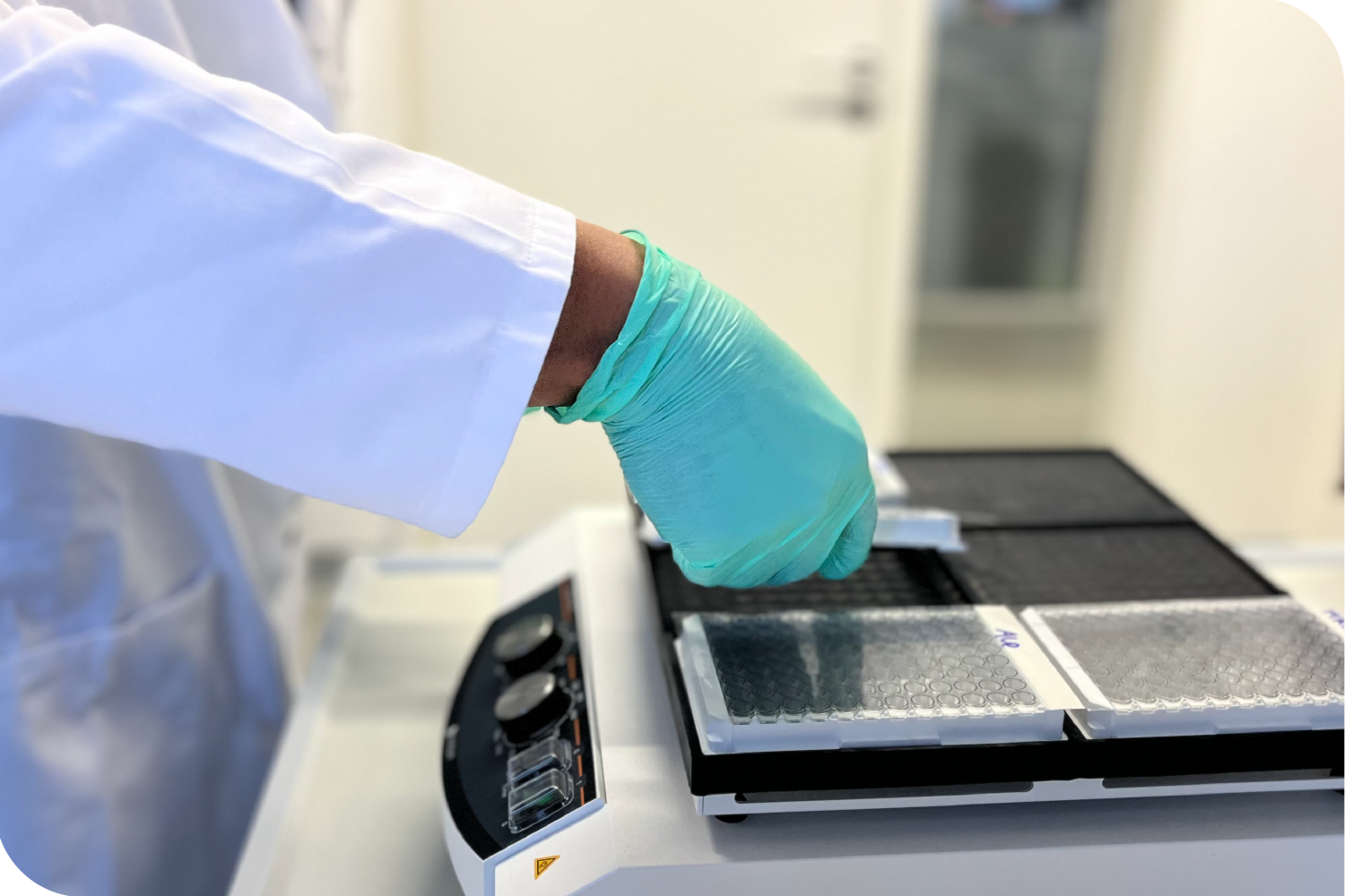 DENARASE ELISA Kit_Plates