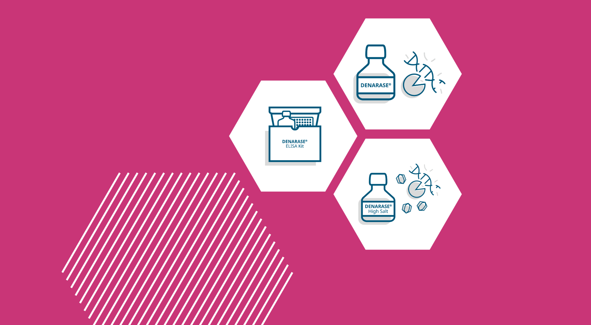DENARASE_Website_Theme Banner