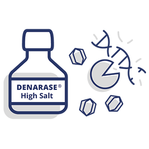 High Salt-1
