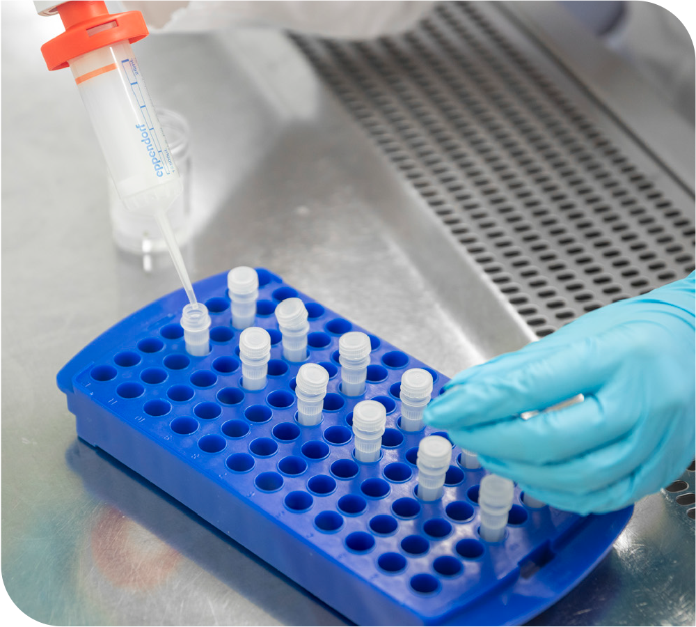 DENARASE_Filling_2