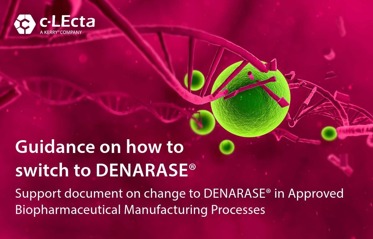 Switching to DENARASE®: Regulatory considerations for Biopharmaceutical Manufacturing